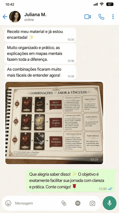 Print de conversa no WhatsApp com depoimento de aluna 3