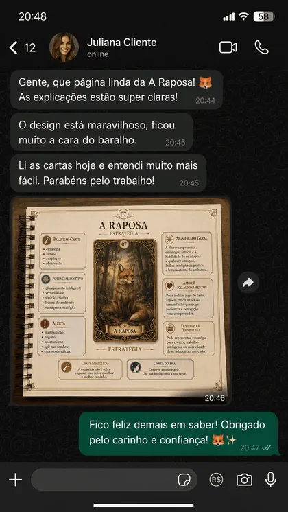 Print de conversa no WhatsApp com depoimento de aluna 4
